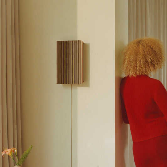 Bang & Olufsen Beosound Level Taşınabilir Multiroom Kablosuz Hoparlör