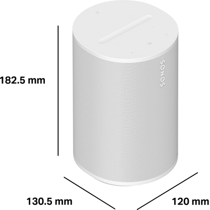 Sonos Era 100 Kablosuz Hoparlör