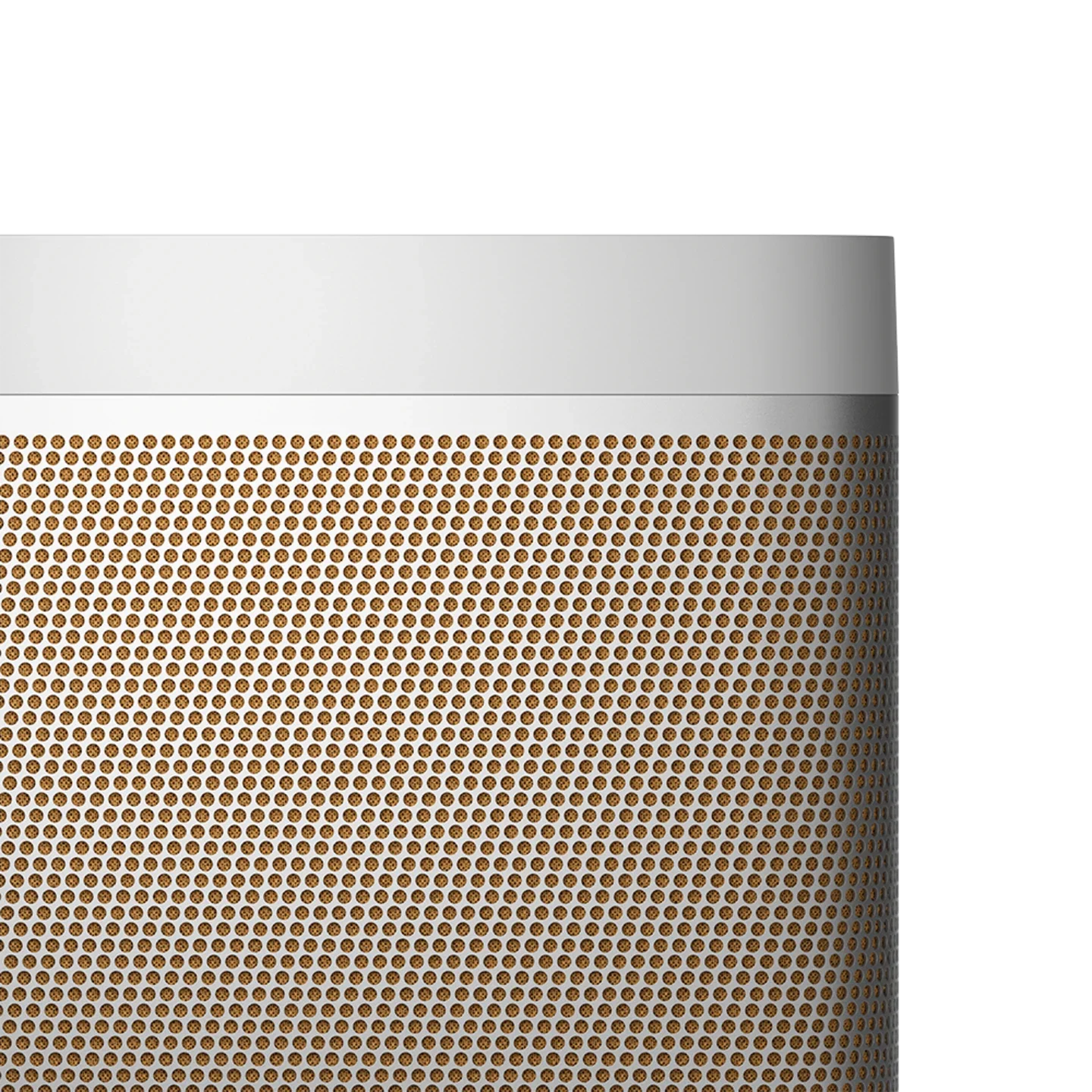 Bang & Olufsen Beolit 20 Taşınabilir Bluetooth Hoparlör