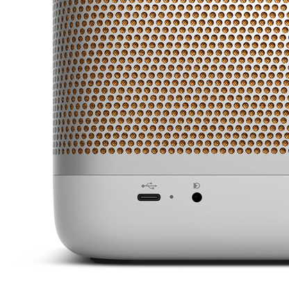 Bang & Olufsen Beolit 20 Taşınabilir Bluetooth Hoparlör