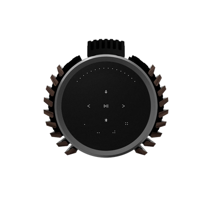 Bang & Olufsen BeoLab 28 Kablosuz Hi-Fi Aktif Hoparlör