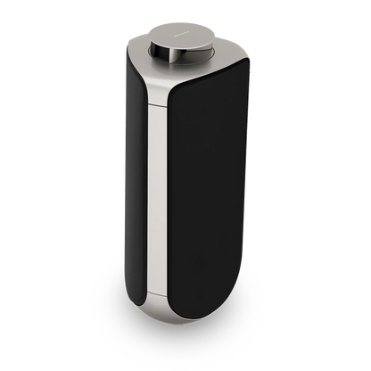 Bang & Olufsen BeoLab 50 Kablosuz High-End Aktif Hoparlör