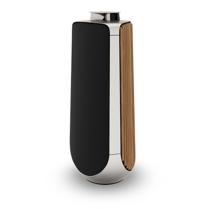 Bang & Olufsen BeoLab 50 Kablosuz High-End Aktif Hoparlör