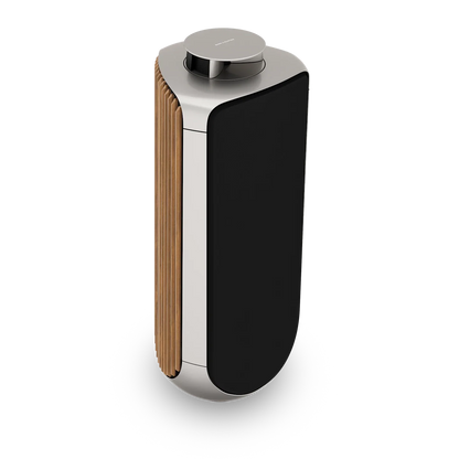 Bang & Olufsen BeoLab 50 Kablosuz High-End Aktif Hoparlör