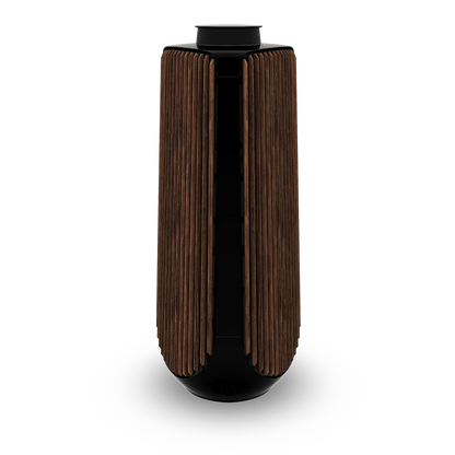 Bang & Olufsen BeoLab 50 Kablosuz High-End Aktif Hoparlör