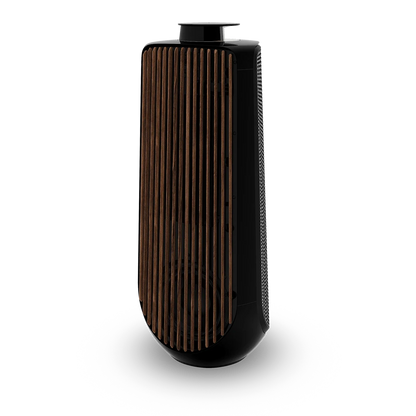 Bang & Olufsen BeoLab 50 Kablosuz High-End Aktif Hoparlör