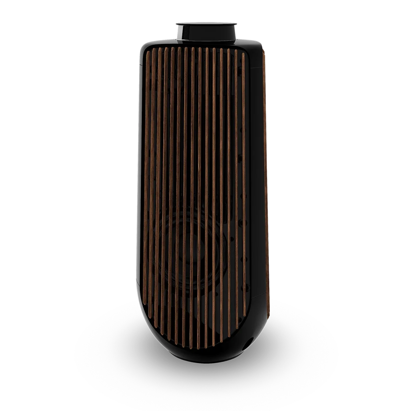 Bang & Olufsen BeoLab 50 Kablosuz High-End Aktif Hoparlör