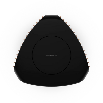 Bang & Olufsen BeoLab 50 Kablosuz High-End Aktif Hoparlör