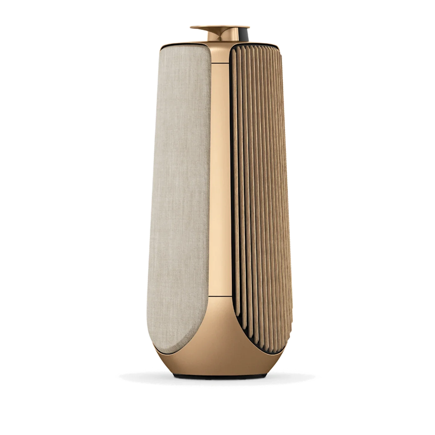 Bang & Olufsen BeoLab 50 Kablosuz High-End Aktif Hoparlör