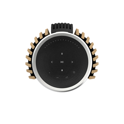 Bang & Olufsen BeoLab 28 Kablosuz Hi-Fi Aktif Hoparlör