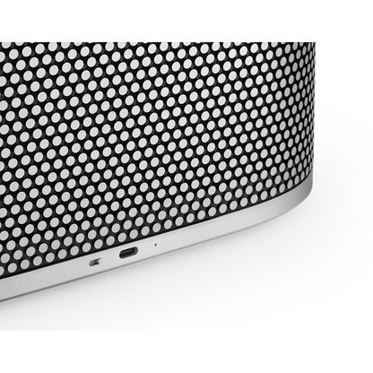Bang & Olufsen Beosound A5 Taşınabilir Kablosuz Hoparlör