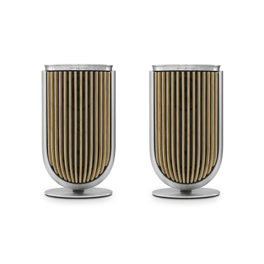 Bang & Olufsen Beolab 8 Multiroom Kablosuz Hoparlör