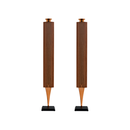 Bang & Olufsen BeoLab 18 Kablosuz Aktif Hoparlör