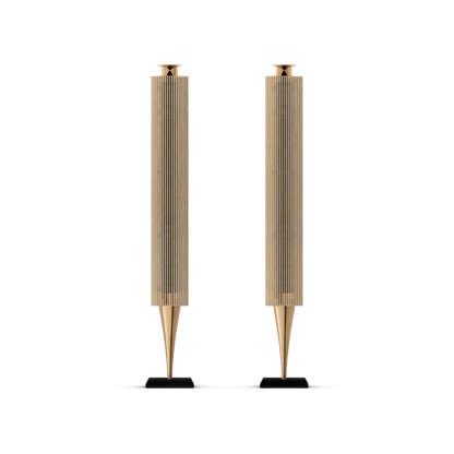 Bang & Olufsen BeoLab 18 Kablosuz Aktif Hoparlör