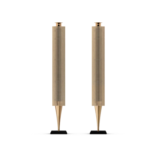 Bang & Olufsen BeoLab 18 Kablosuz Aktif Hoparlör