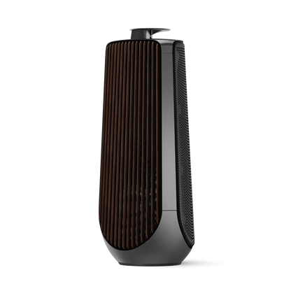 Bang & Olufsen BeoLab 50 Kablosuz High-End Aktif Hoparlör