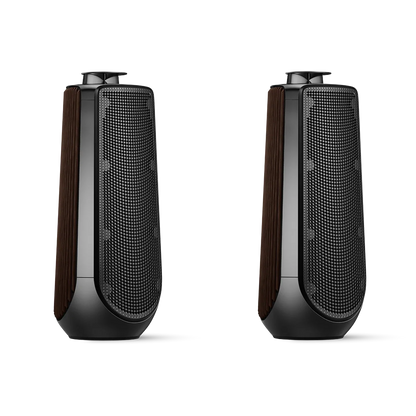 Bang & Olufsen BeoLab 50 Kablosuz High-End Aktif Hoparlör