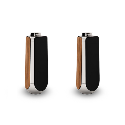 Bang & Olufsen BeoLab 50 Kablosuz High-End Aktif Hoparlör