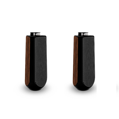 Bang & Olufsen BeoLab 50 Kablosuz High-End Aktif Hoparlör