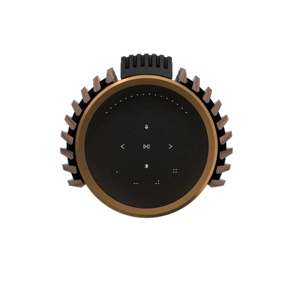 Bang & Olufsen BeoLab 28 Kablosuz Hi-Fi Aktif Hoparlör